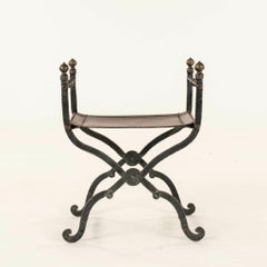 Iron Brass Leather Curule