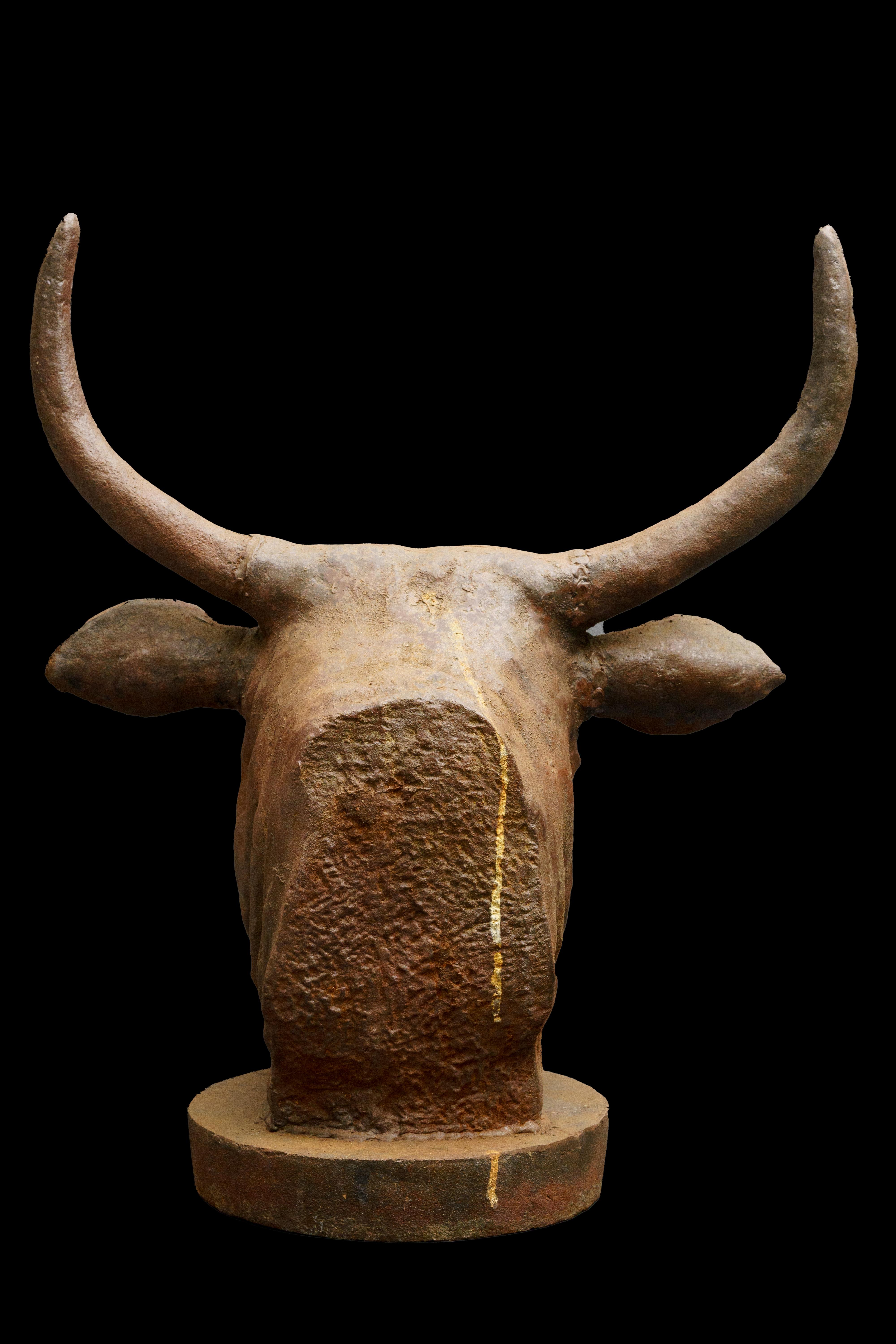 Life size cast Iron bulls head bust.

Measures approximately: 20