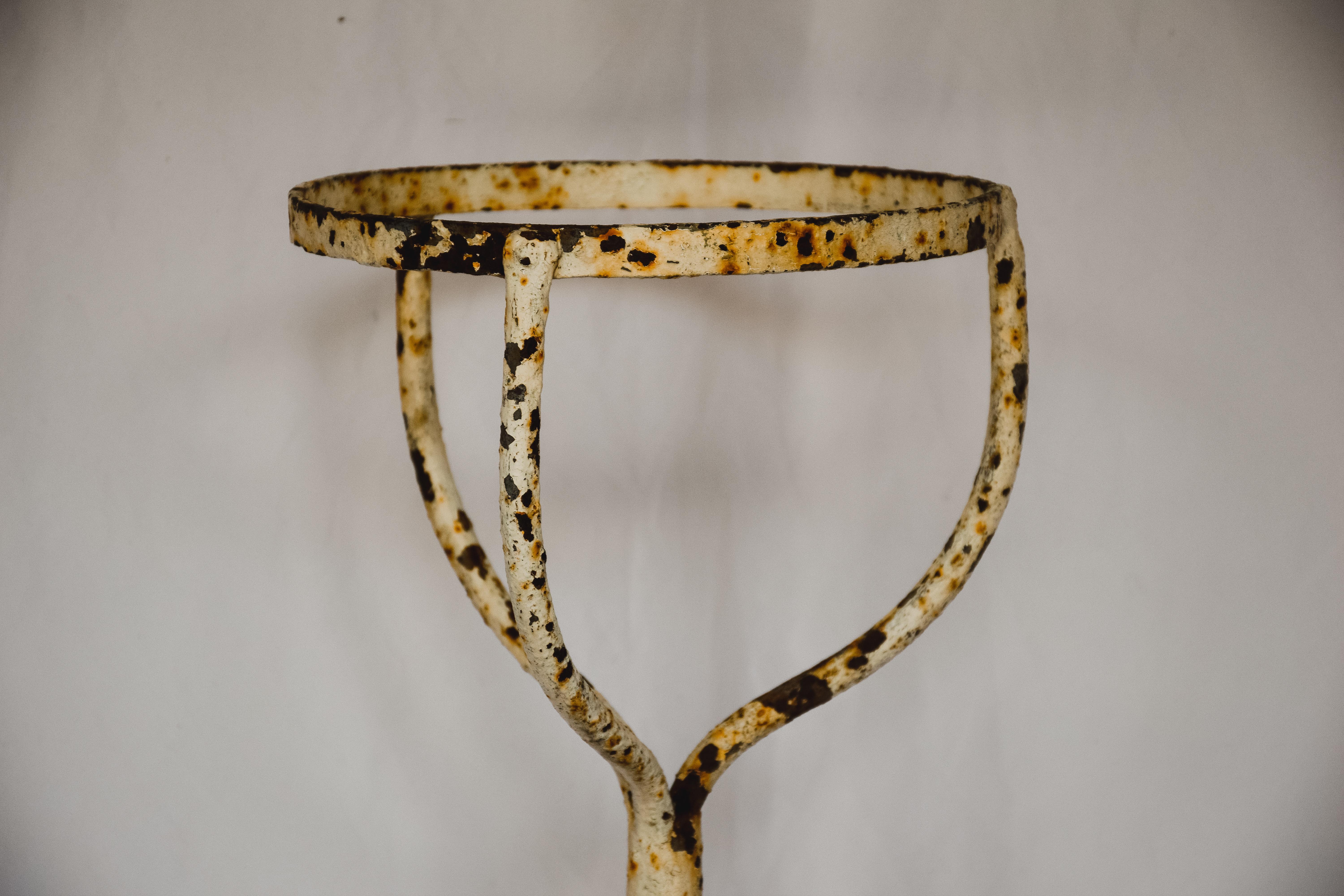 Iron Champagne or Plant Stand 2
