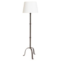 Iron Floor Lamp