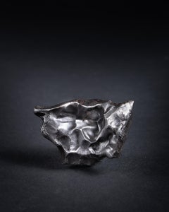Iron Fragment from the Famed Sikhote-Alin Meteorite