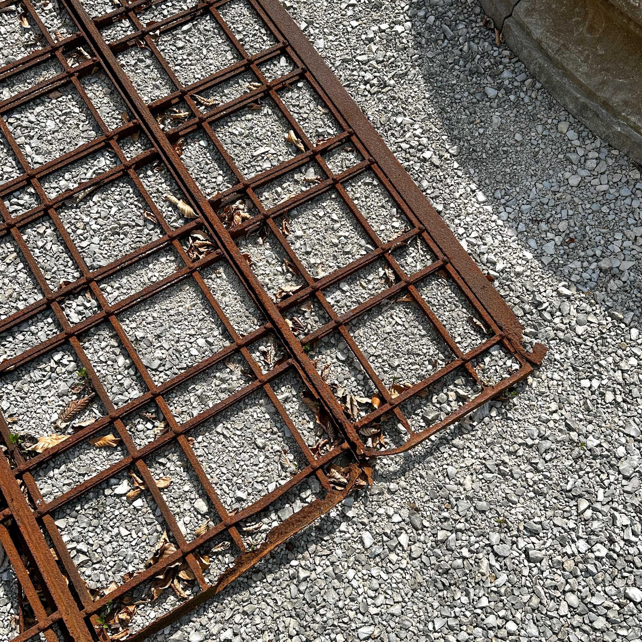 Iron Garden Gate, 19th Century In Distressed Condition For Sale In Greding, DE