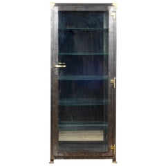 Antique Iron Medical Display Cabinet with Brass Details, 1920s