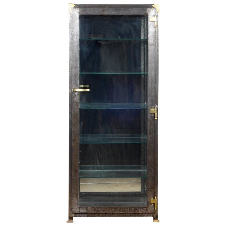 Iron Medical Display Cabinet With Brass Details 1920s For Sale At