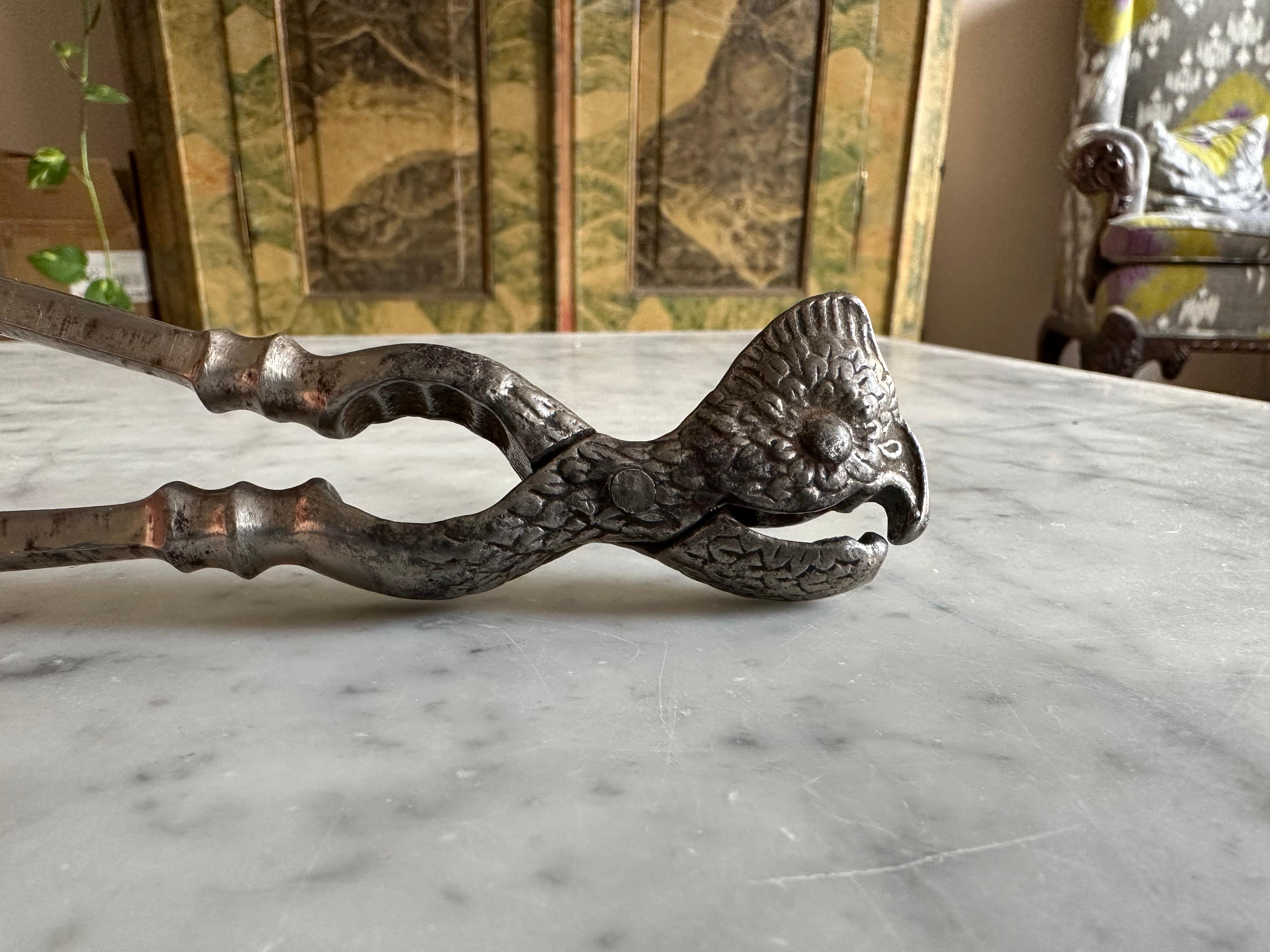 Belle Époque Schiaccianoci in ferro a forma di cacatua, XIX secolo, Polonia in vendita