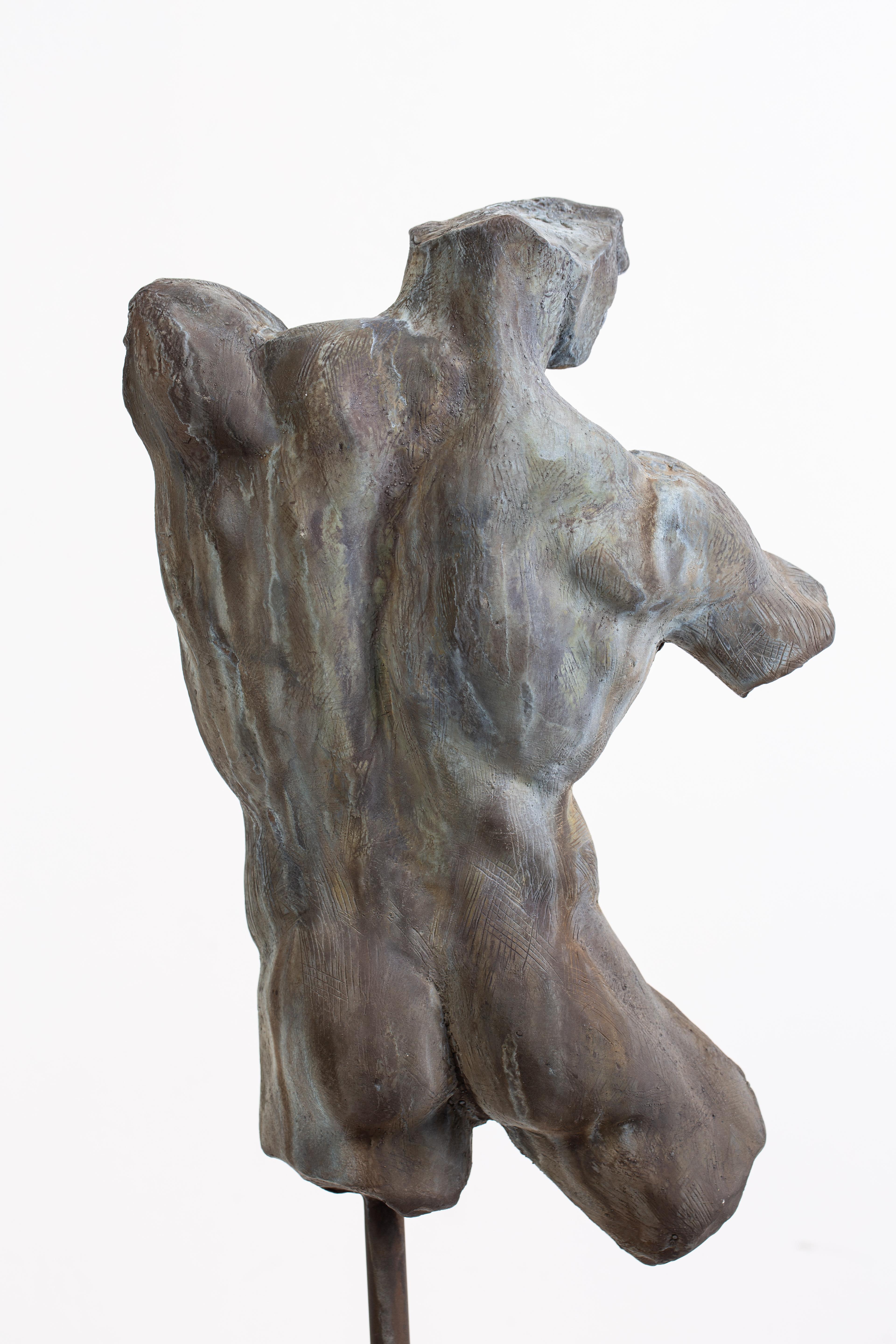 Iron Relic, Classical Male Nude Torso Fragment Sculpted in Bronze 2