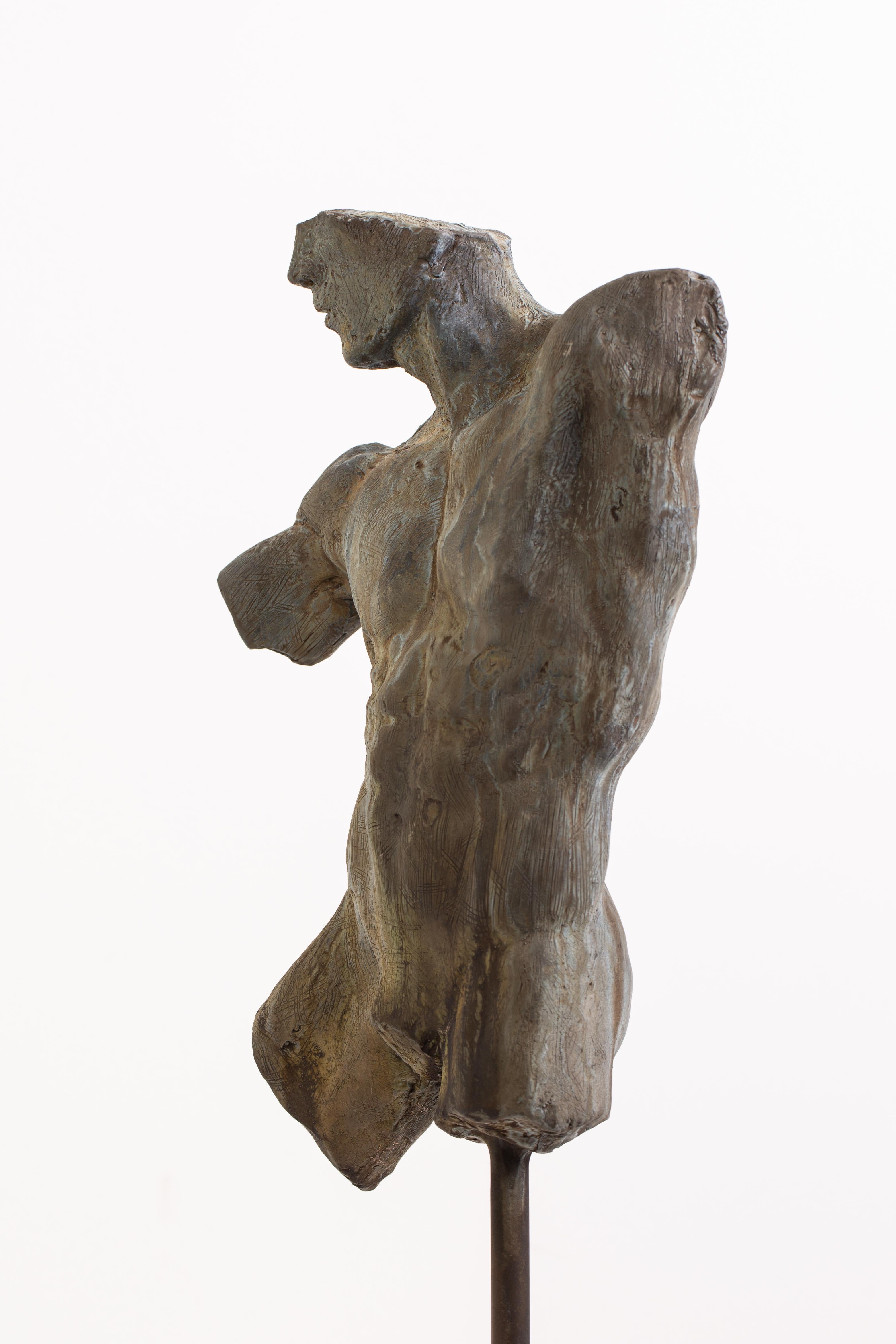 Iron Relic, Classical Male Nude Torso Fragment Sculpted in Bronze 5