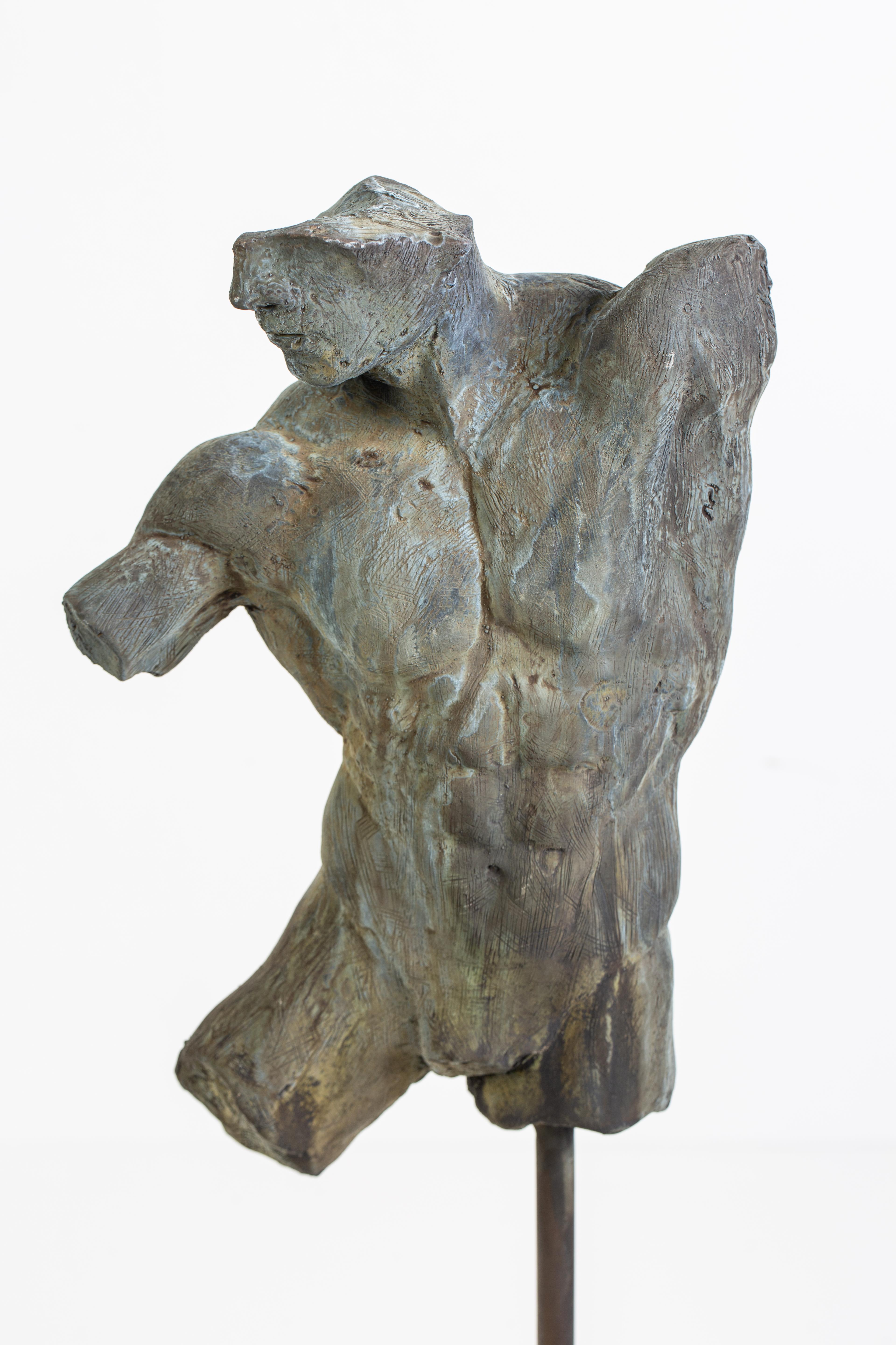 Iron Relic, Classical Male Nude Torso Fragment Sculpted in Bronze In New Condition In Chicago, IL