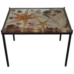 Iron and Resine Top with Marine Species Midcentury French Coffee Table, 1960