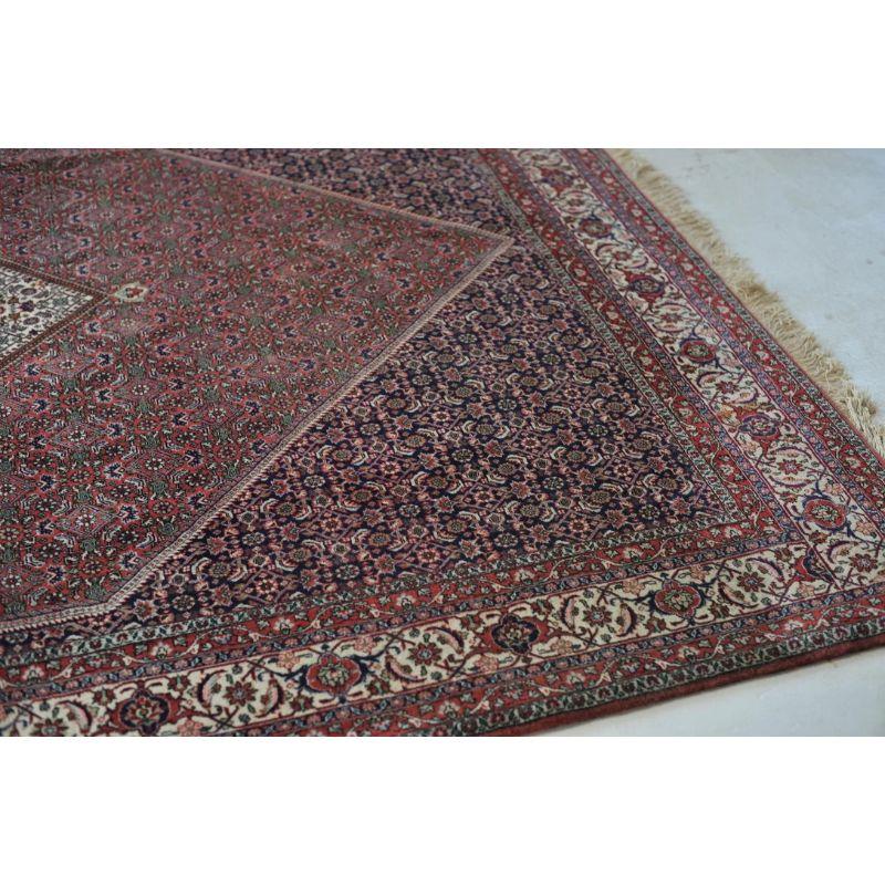 Iron Rug with Anchor Medallion Vintage Bidjar, circa 1960's For Sale 1