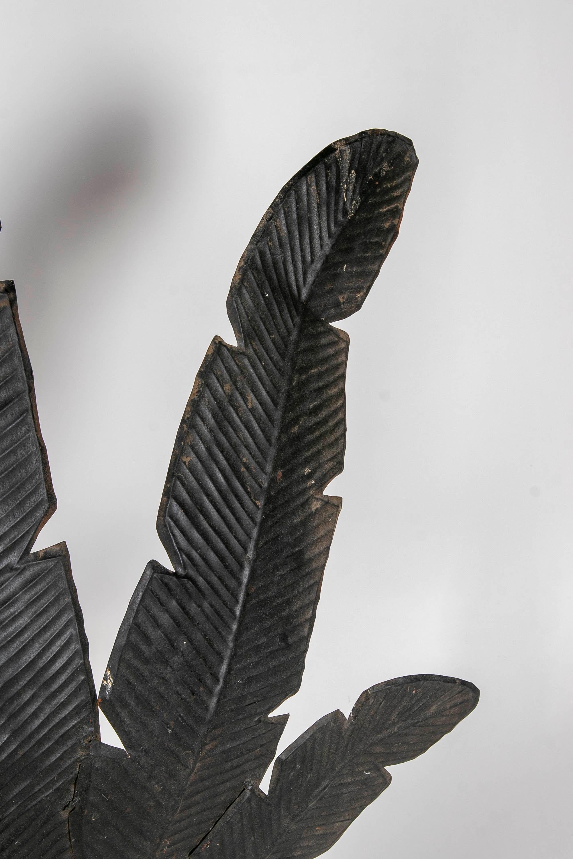 Eisen-Skulptur von Lotusblumenblättern aus Eisen auf Holzsockel in schwarzer Farbe im Angebot 2