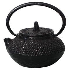 Vintage Iron Teapot Water Dropper