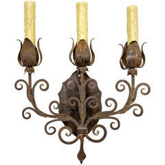 Iron Tulip 3-light Candelabra Sconce