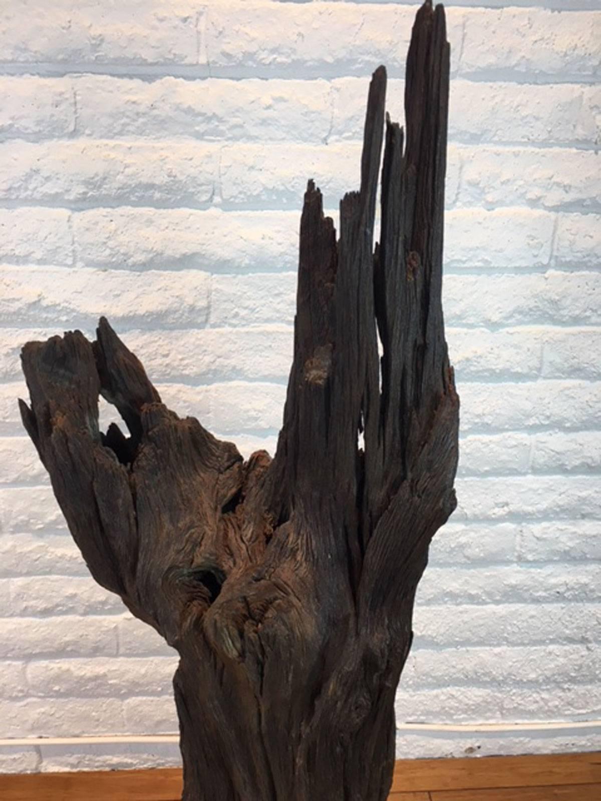 Contemporary Ironwood and Steel Sculpture For Sale