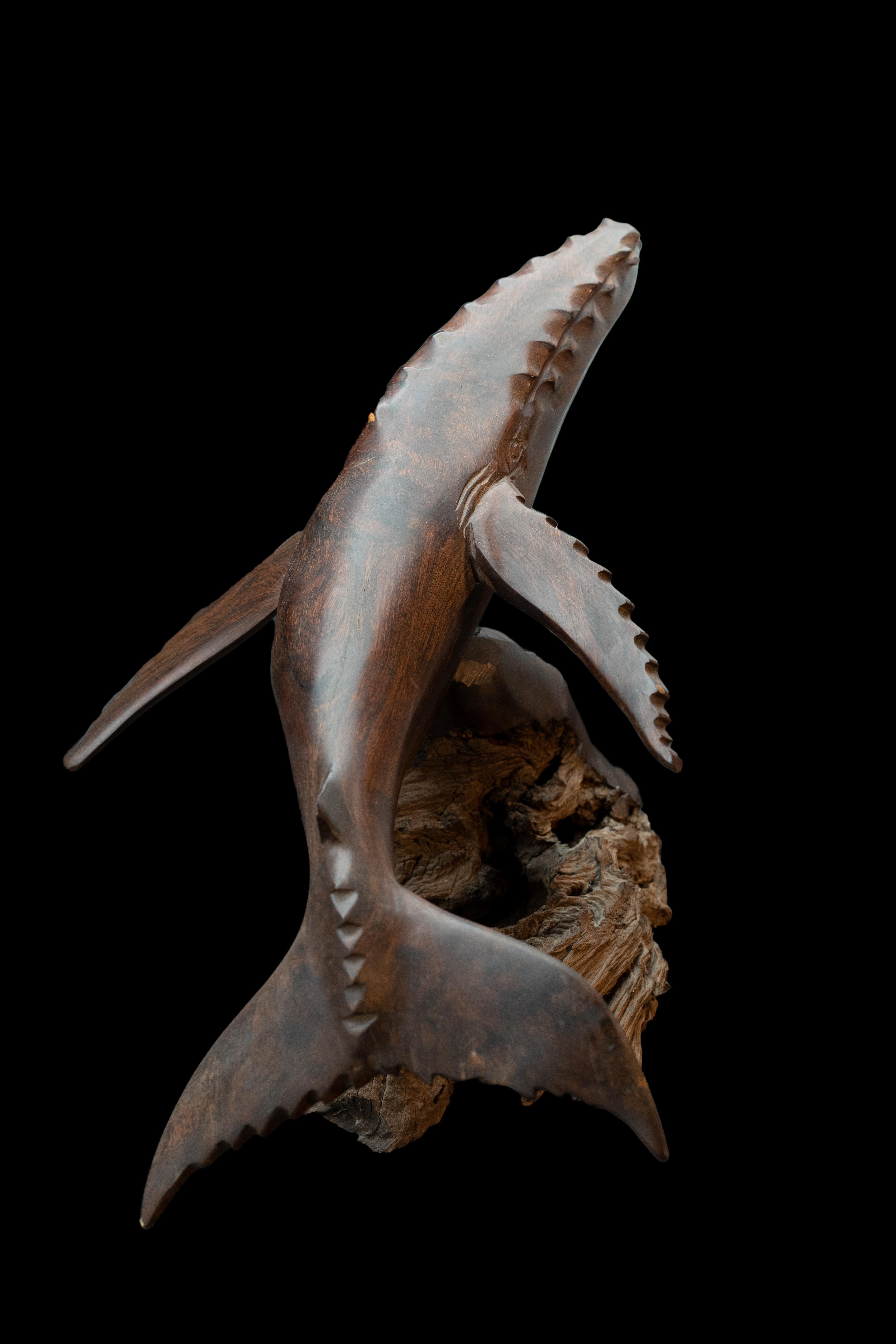 Ironwood whale sculpture which consists of two pieces sculpture and base. Measures: D16