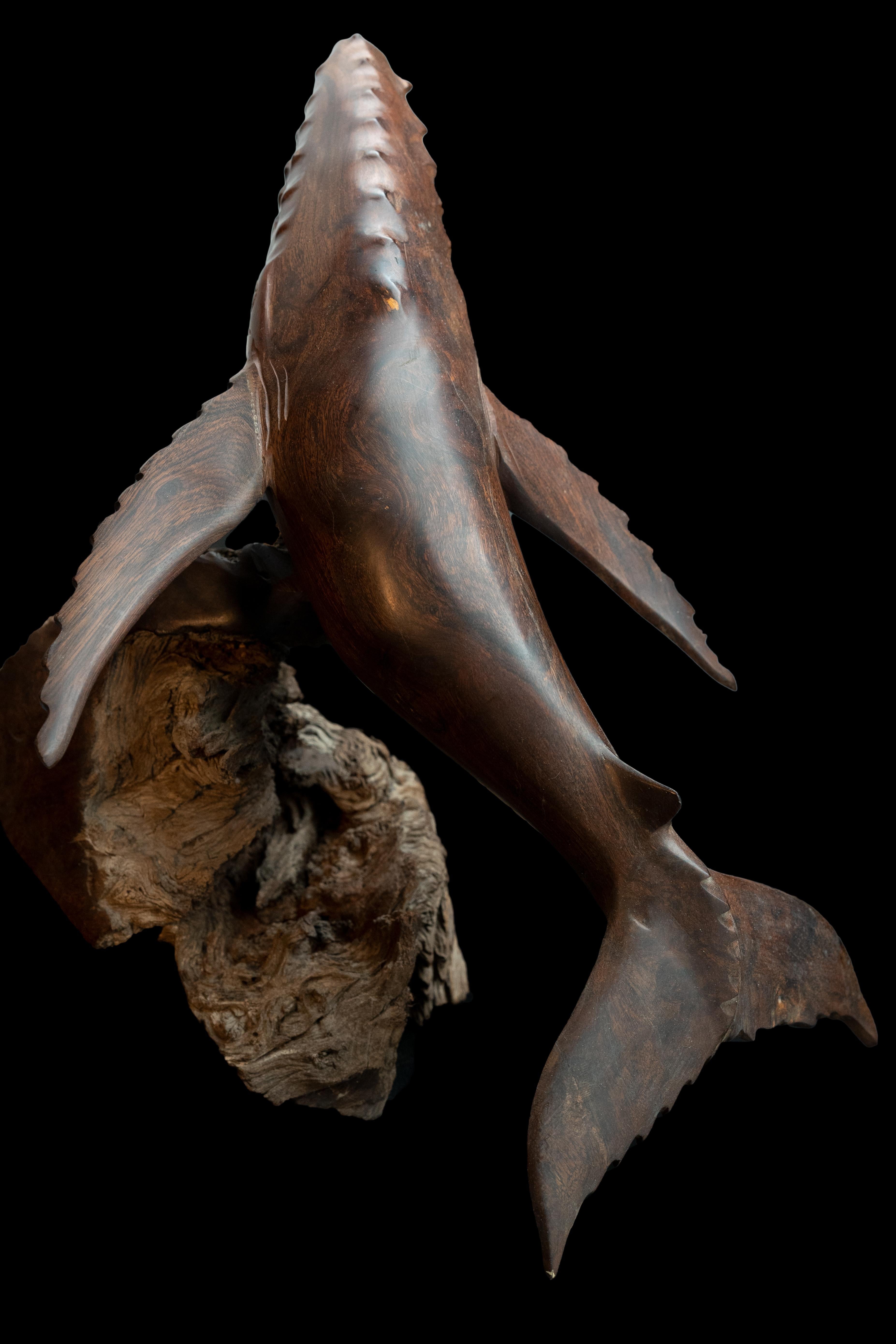 American Ironwood Whale Sculpture