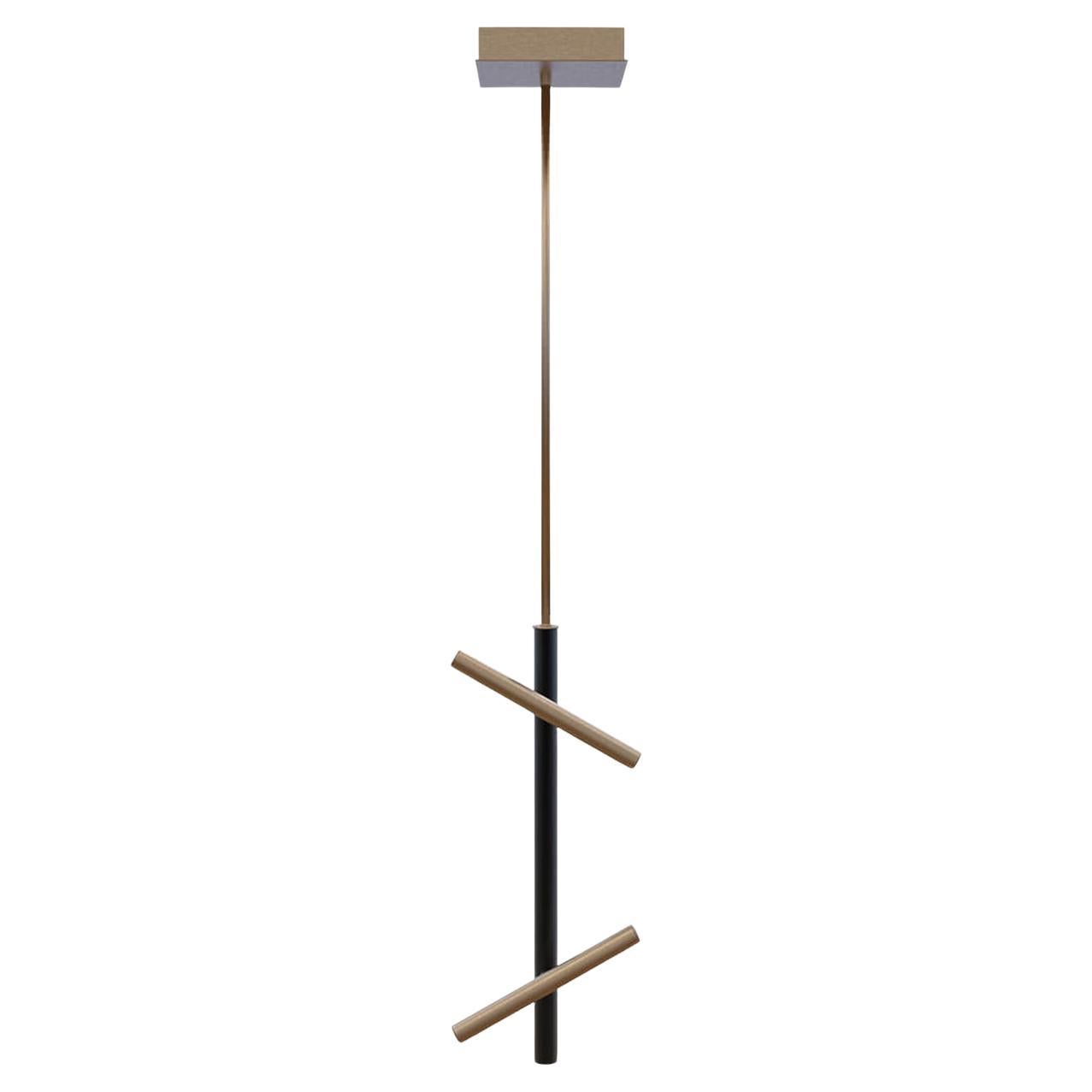 Irregular Ceiling Brass Metal Adjustable Lamp