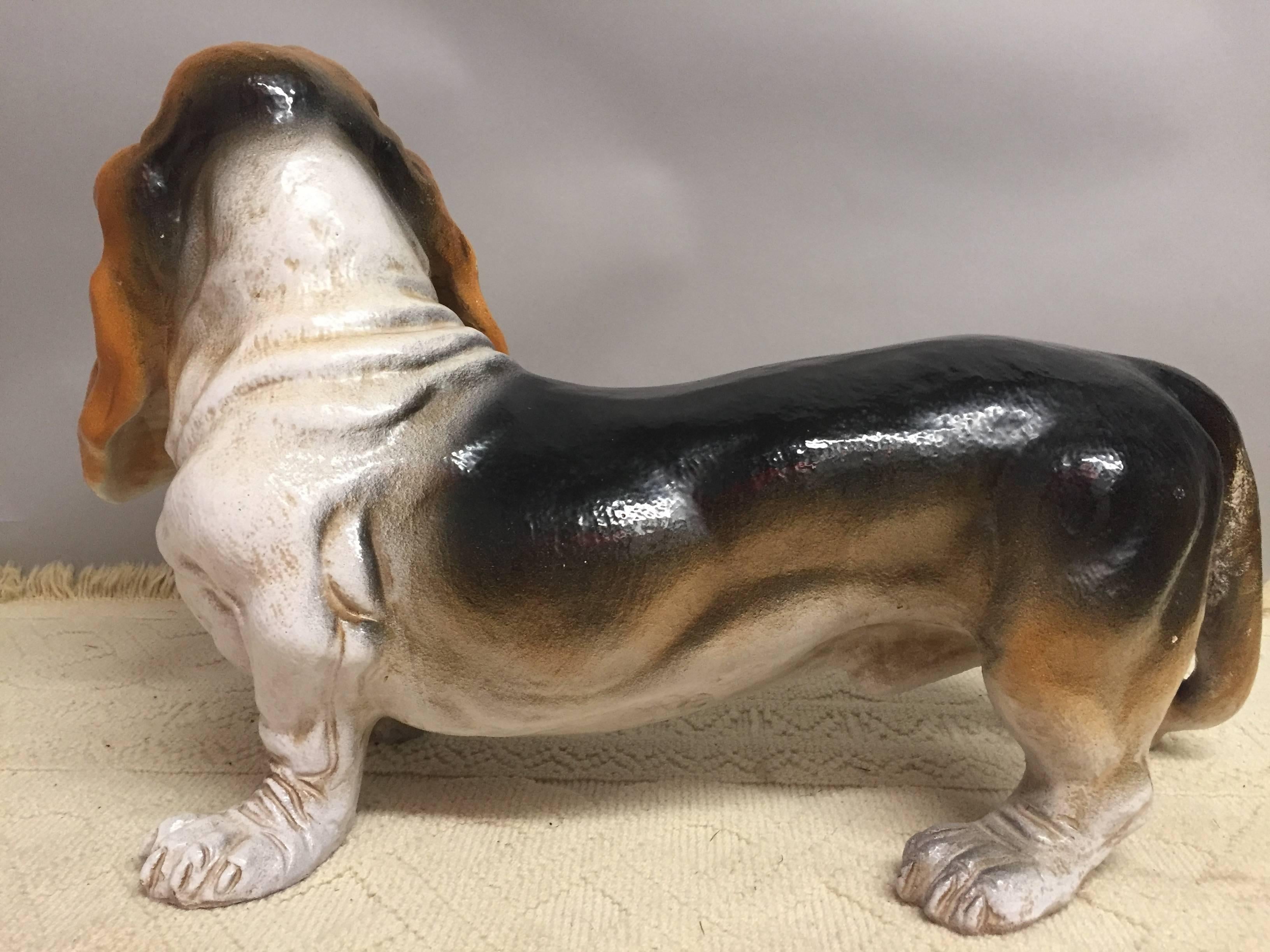 italian basset hound