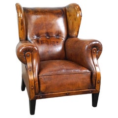 Irresistibile poltrona wingback in pelle di pecora antica con i colori più belli