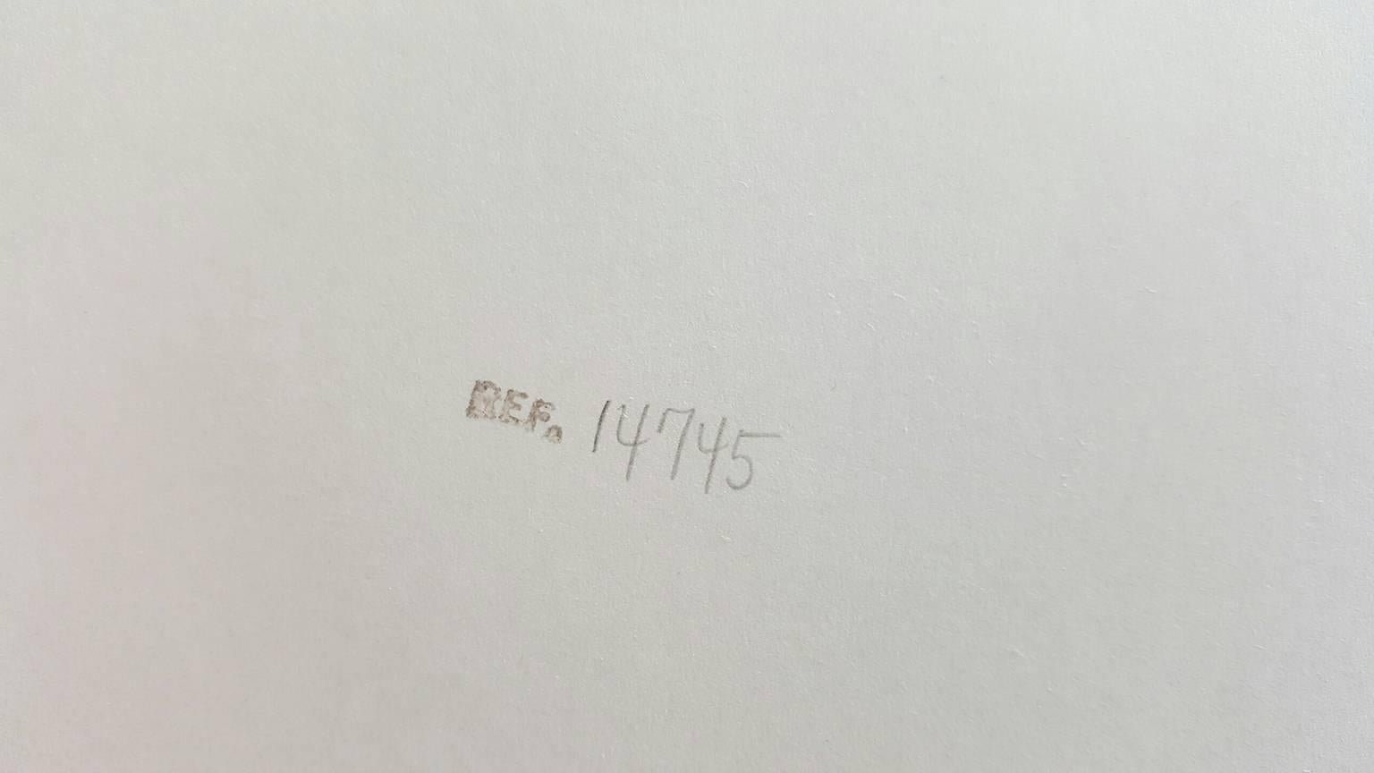 Sammlung Phillips de Pury von Alain Dominique Perrin
Gedruckt 1985, Einer aus einer Auflage von 21 Farbstofftransferdrucken
Signiert Irving Penn Verso
Literatur: Szarkowki, Irving Penn Irving Penn: Passagen

Technische Daten, wie Penn es gemacht