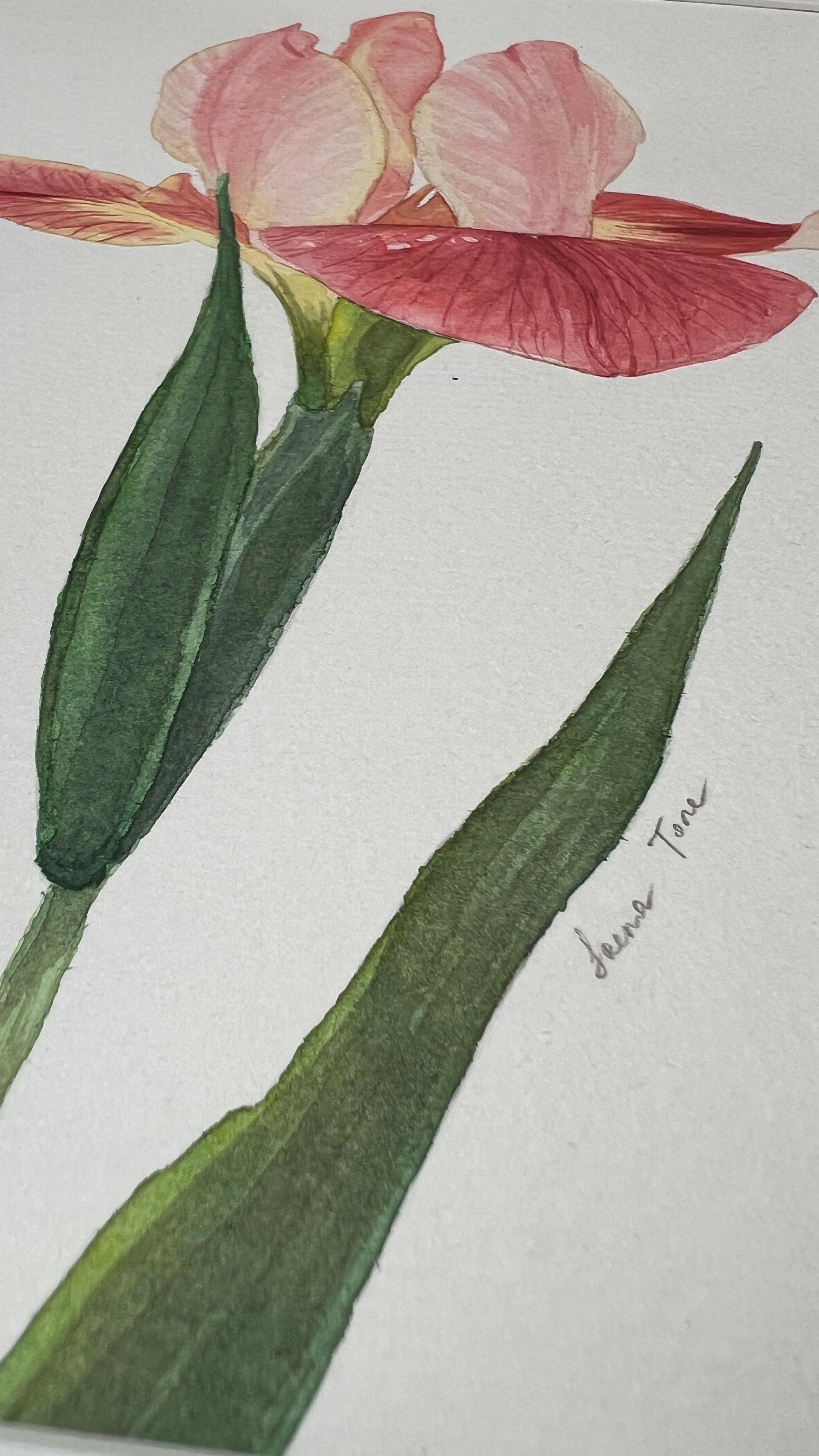 Siempre en mi corazón + marco - Art de Iryna Antoniuk