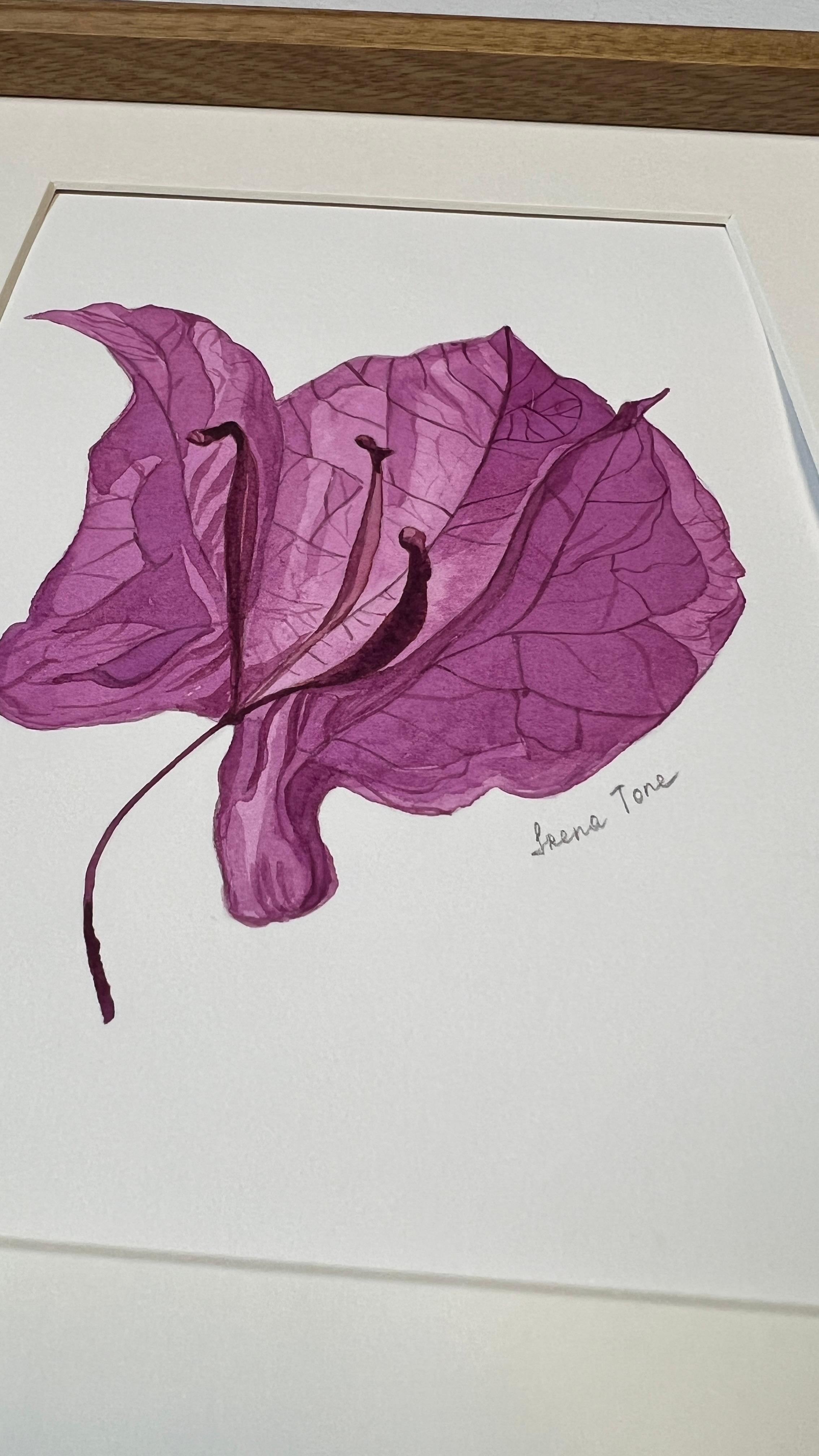 Bougainvillea dry flower + frame - Art by Iryna Antoniuk