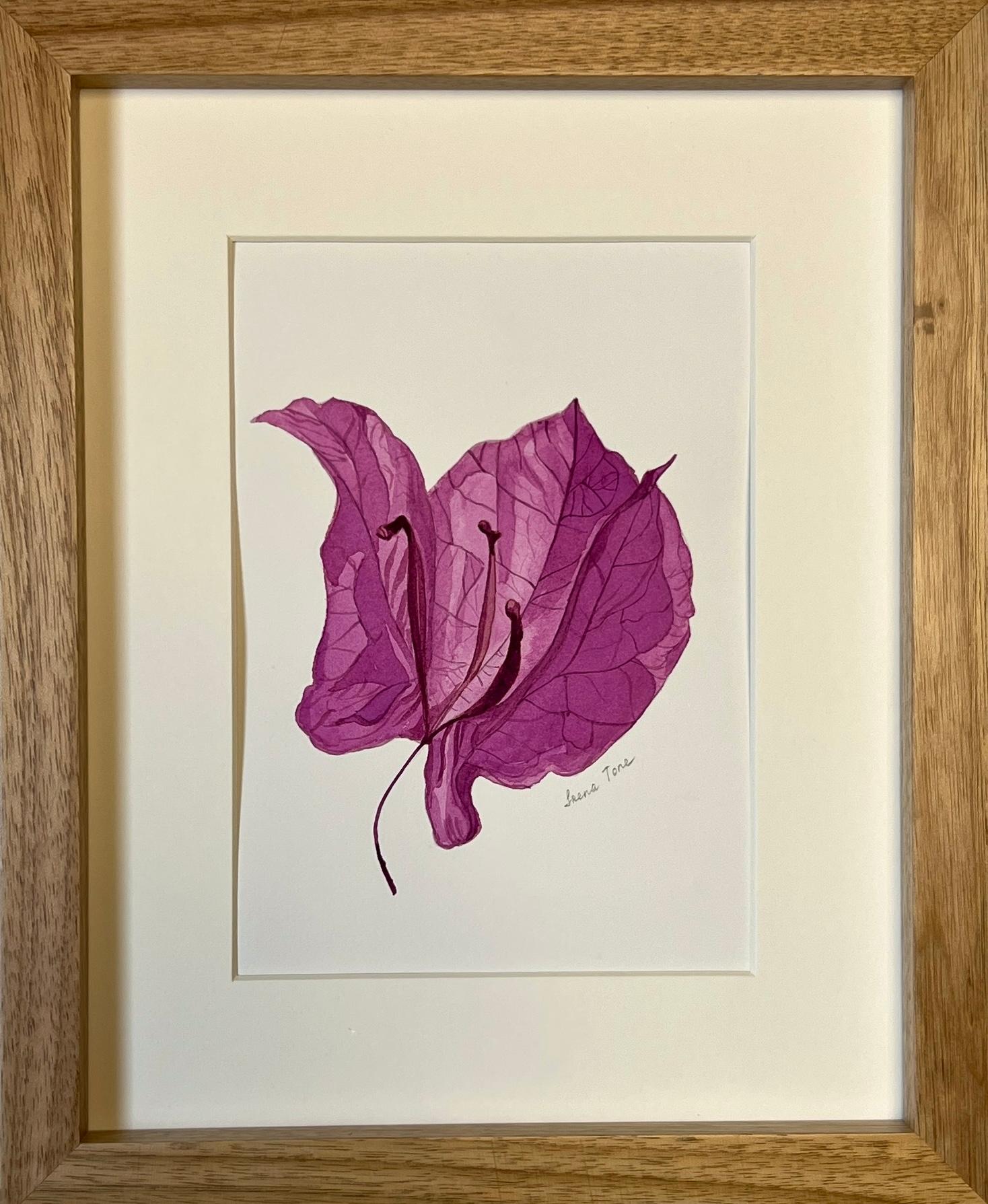 Iryna Antoniuk Still-Life - Bougainvillea dry flower + frame