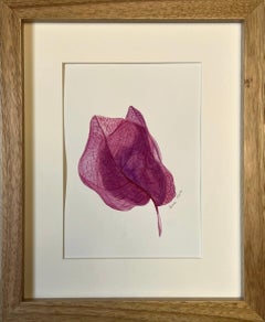 Bougainvillea flower + frame