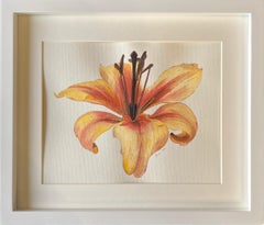 Yellow Lily + frame