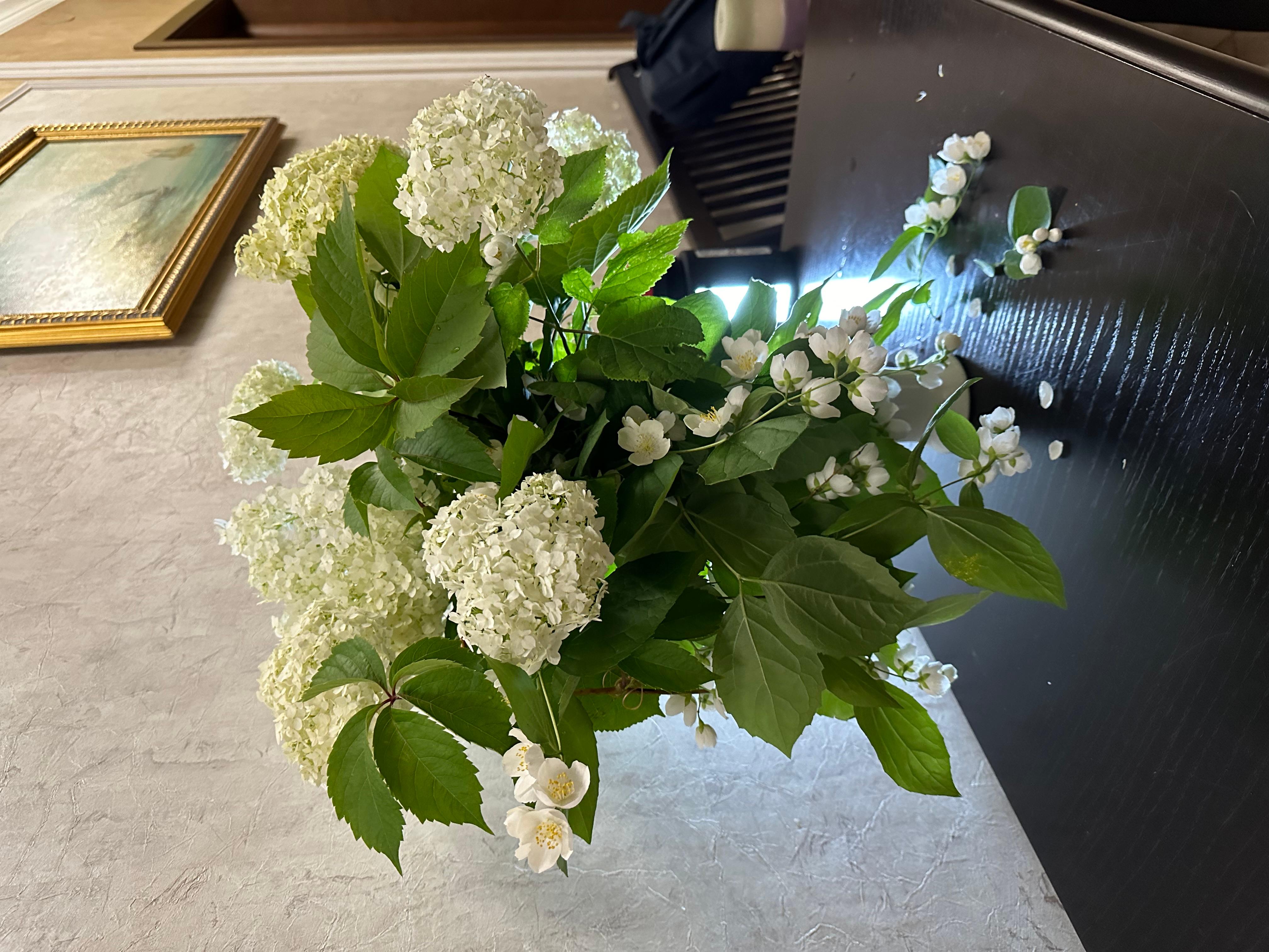 Ortensie  Quadri originali floreali 12