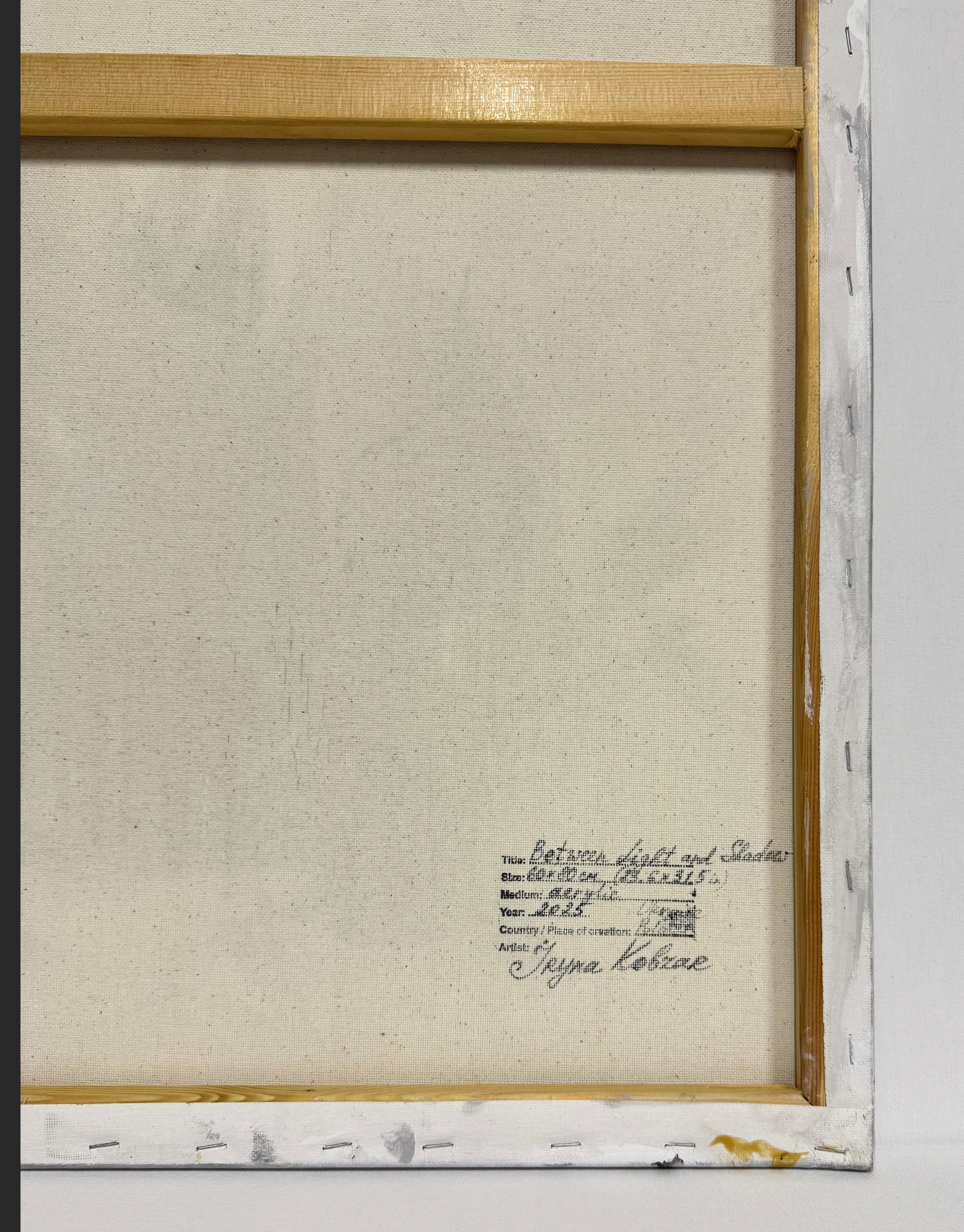 Between Light and Shadow For Sale 2