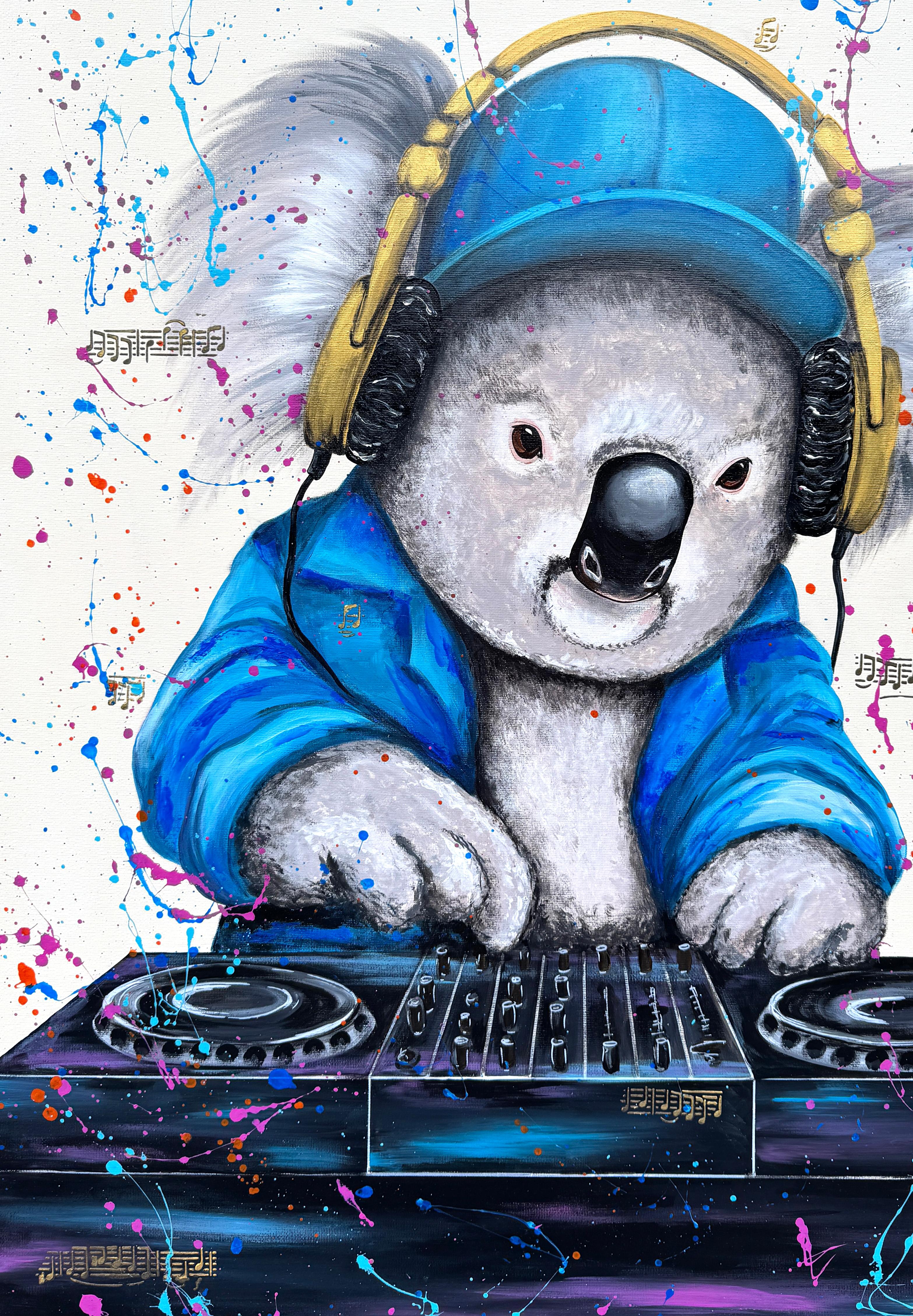 DJ Koala im Angebot 5
