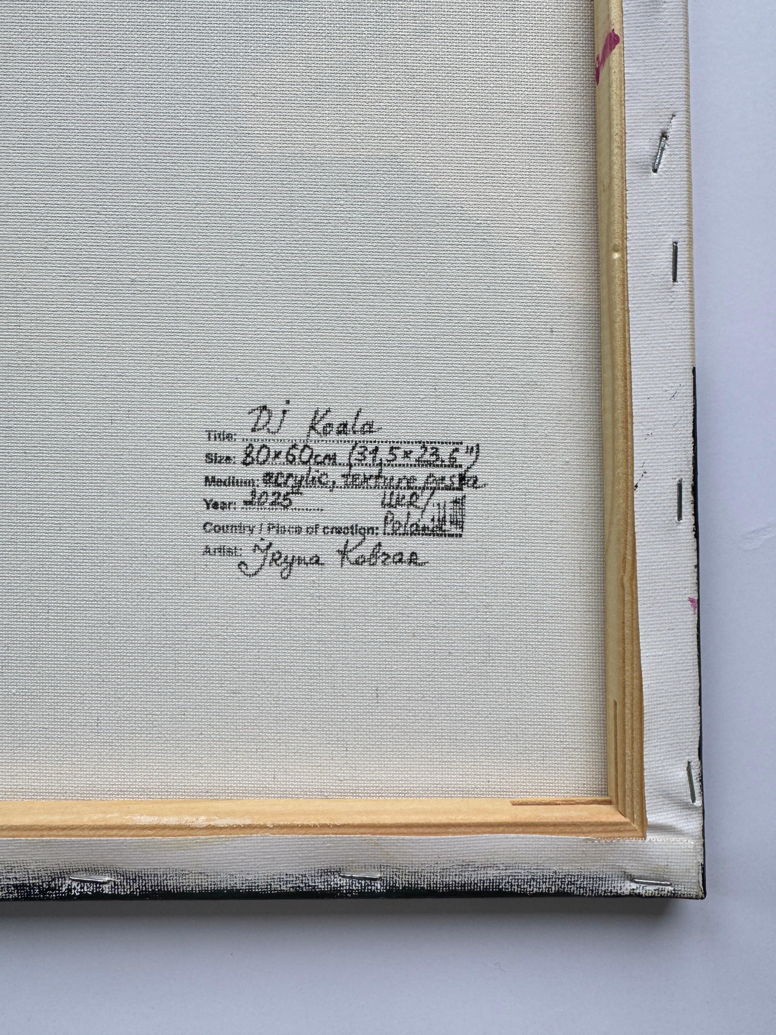 DJ Koala im Angebot 6