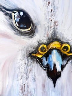 Le regard du faucon gerfaut