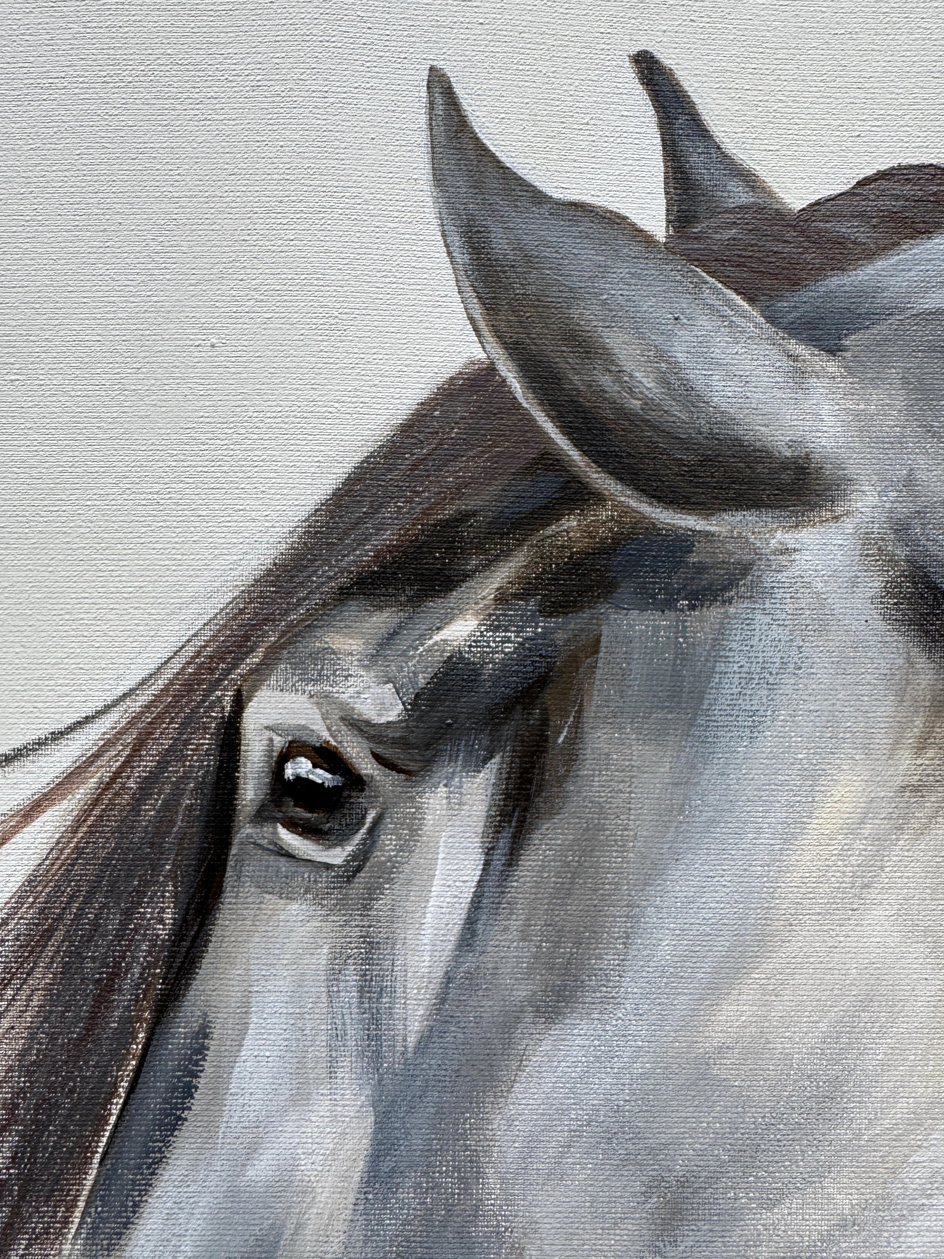 My dear Horse For Sale 4