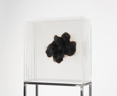 "Humo III"