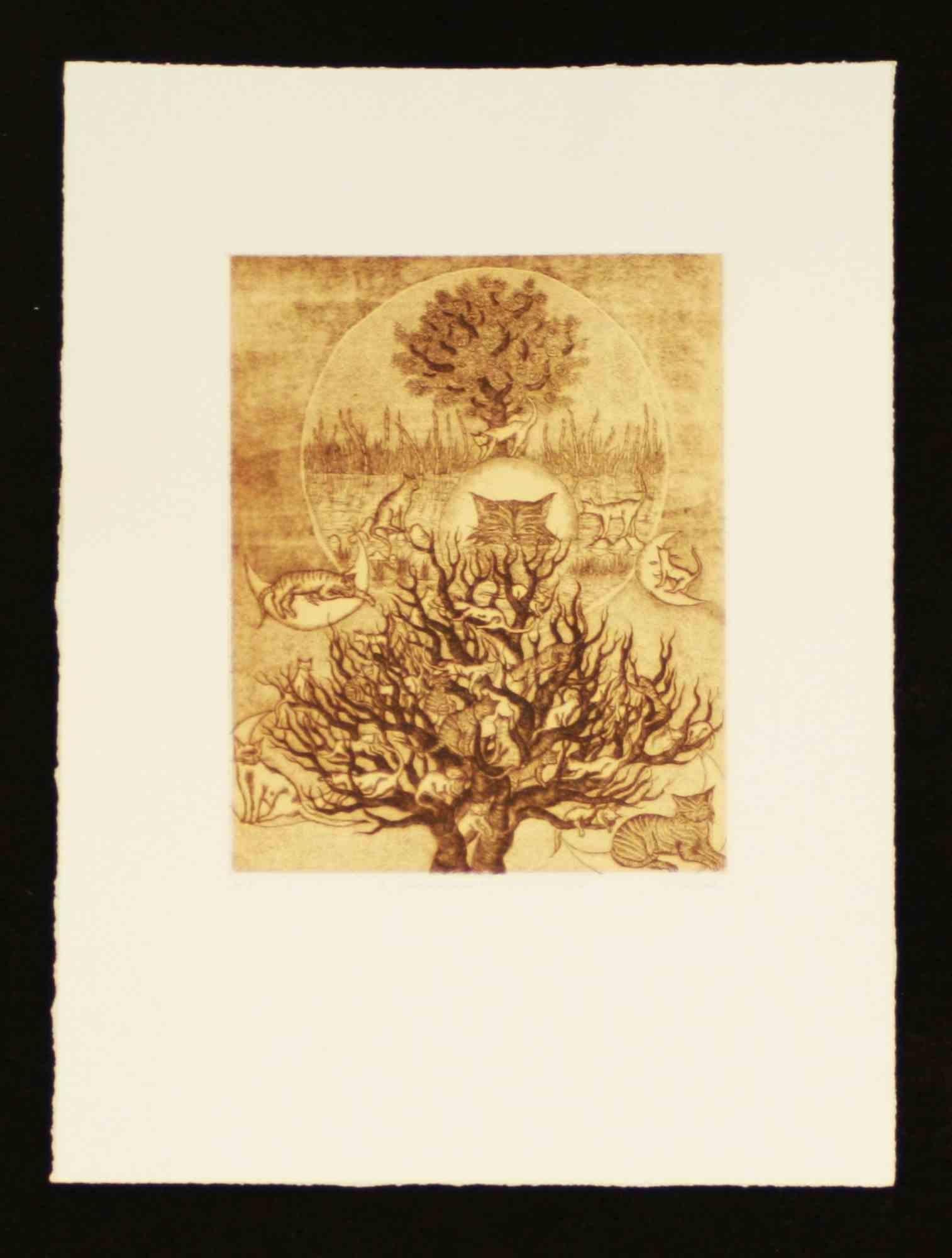 Radierung auf Zinkplatte auf Magnani-Pescia Papier 310 gr/m2, Papierformat 55cm x 41cm, Arbeitsformat 30,5cmx24,5cm . Ausgezeichneter Zustand, keine Mängel.

Isabella Collodi wurde am 19. Oktober 1957 in Rom geboren.
1988 stellte er zum ersten Mal