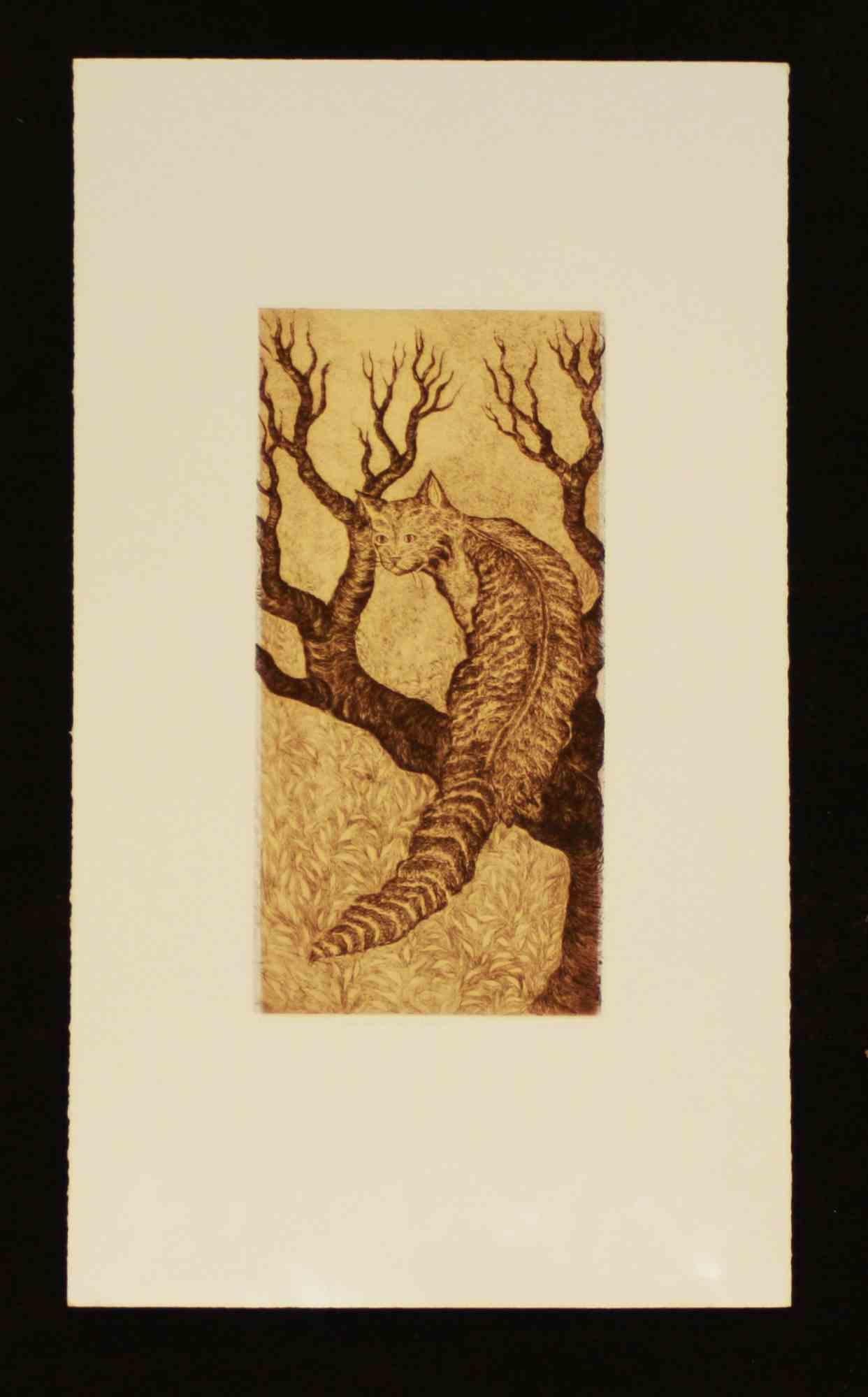 Etching made on zinc plate on Magnani-Pescia paper 310 gr/m2, paper size 70cm x 40cm, work size 40cmx20cm . Excellent condition, no defects.

Work number P.A. ; work title “La Notte di Felix”
 
Isabella Collodi was born in Rome on 19 October