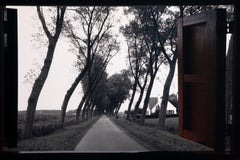 Isabelle Carbonell "Kansas" Iconic Wizard of Oz Set of Four