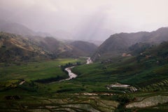 Isabelle Carbonell "The Land of Oz"  Iconic Wizard of Oz Set of  Four