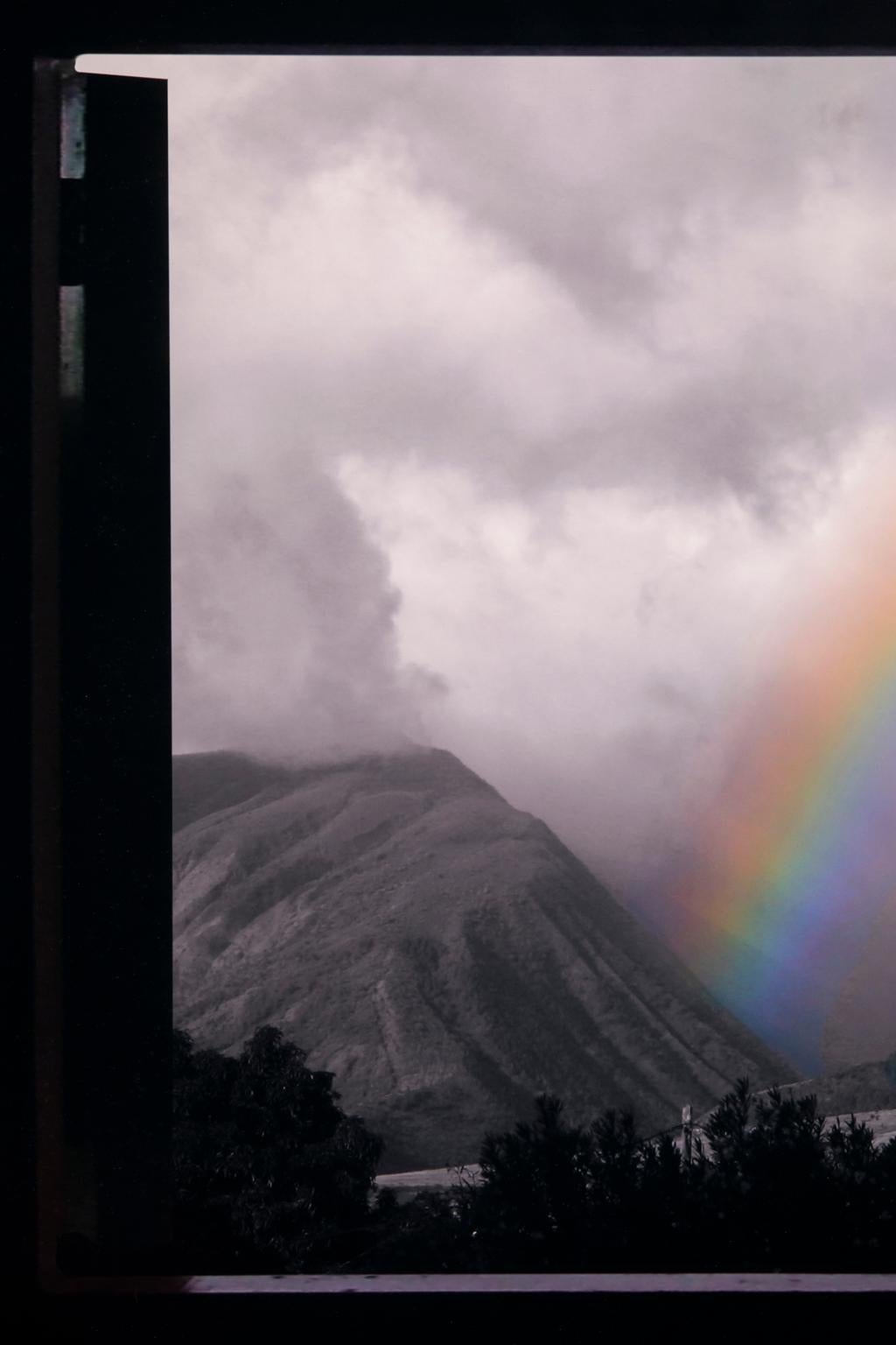 Ensemble de quatre magiques emblématiques d'Ozz « Somewhere Over the Rainbow » d' Isabelle Carbonell en vente 6