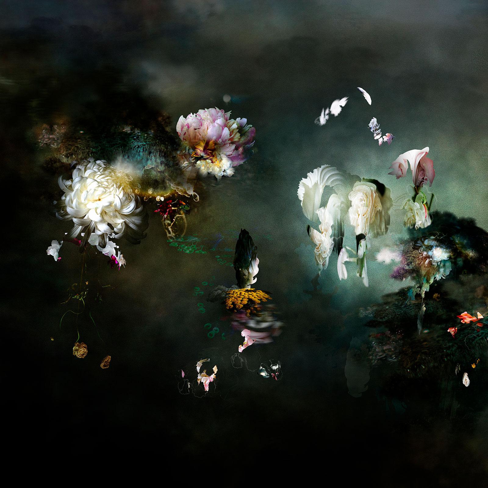 Zeitgenössische Landschafts-Farbfotografie, LJ #2, abstraktes Blumenstillleben