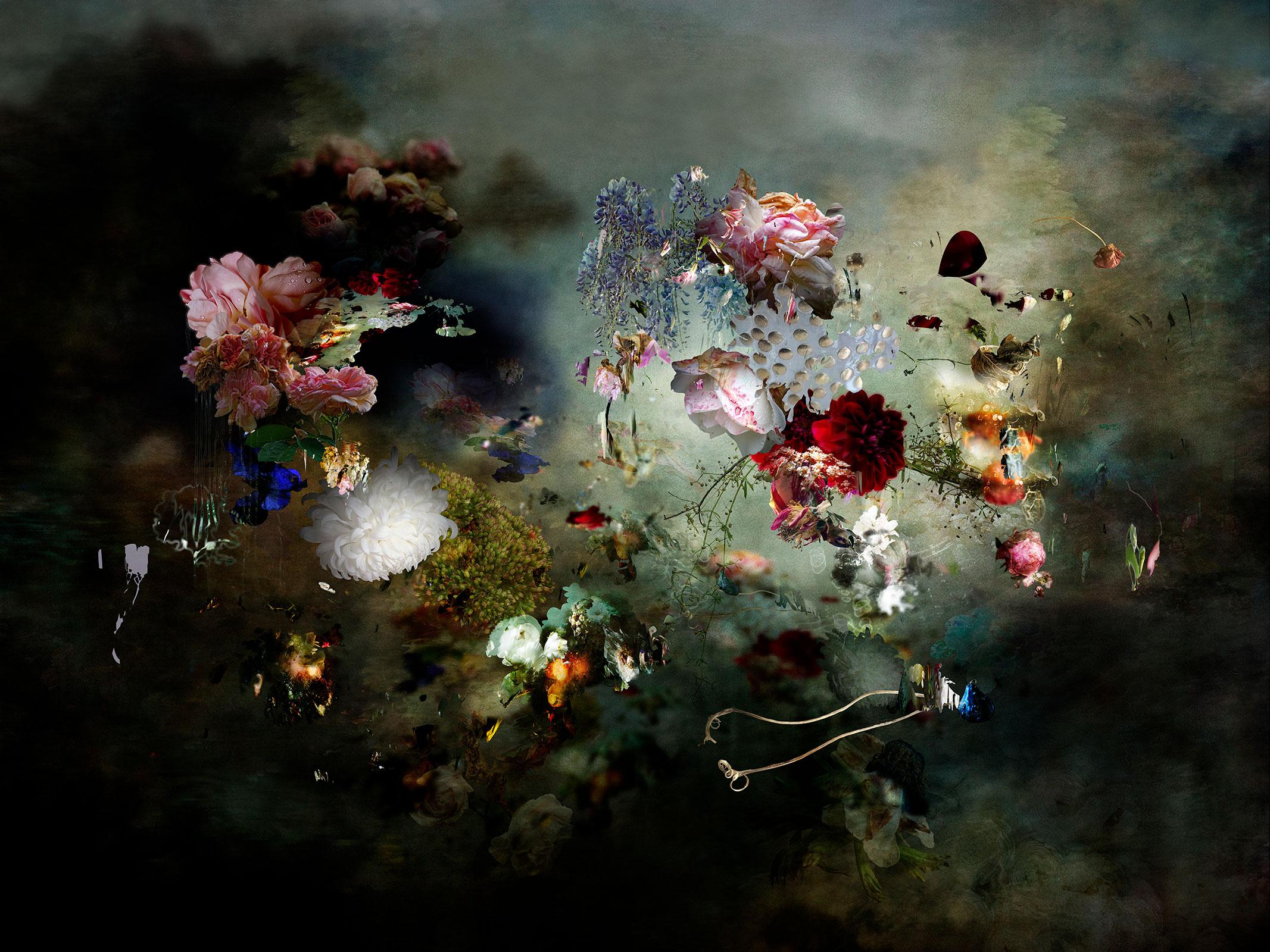 Isabelle Menin Still-Life Photograph – Zeitgenössische Landschafts-Farbfotografie, ALJ #3 - abstraktes Blumenstillleben