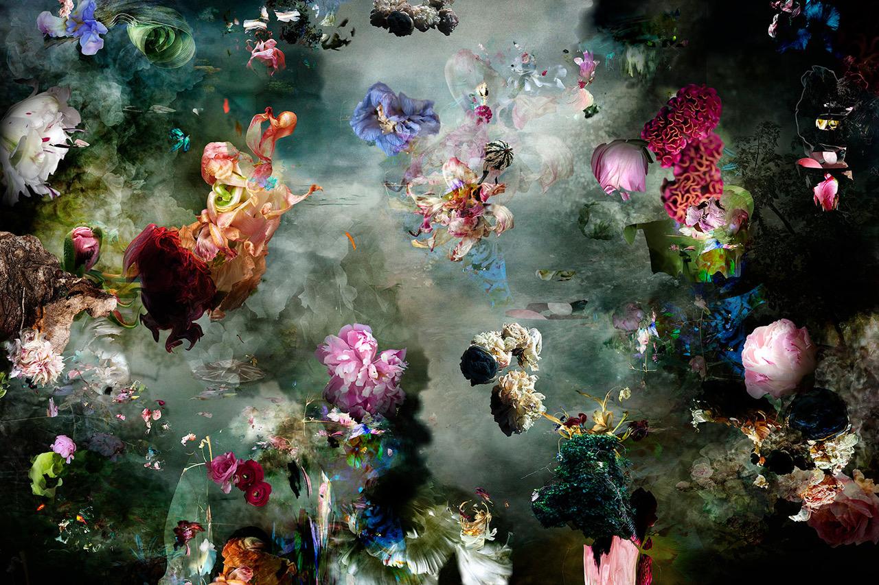 Isabelle Menin Color Photograph - Capitaine # 11 horizontal colorful abstract floral landscape photo