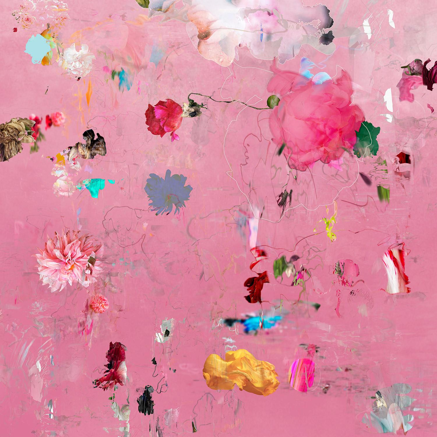 Isabelle Menin Still-Life Photograph – Changing Moods rosa 2- Floral Landschaft rosa Farbe zeitgenössischen abstrakten Foto