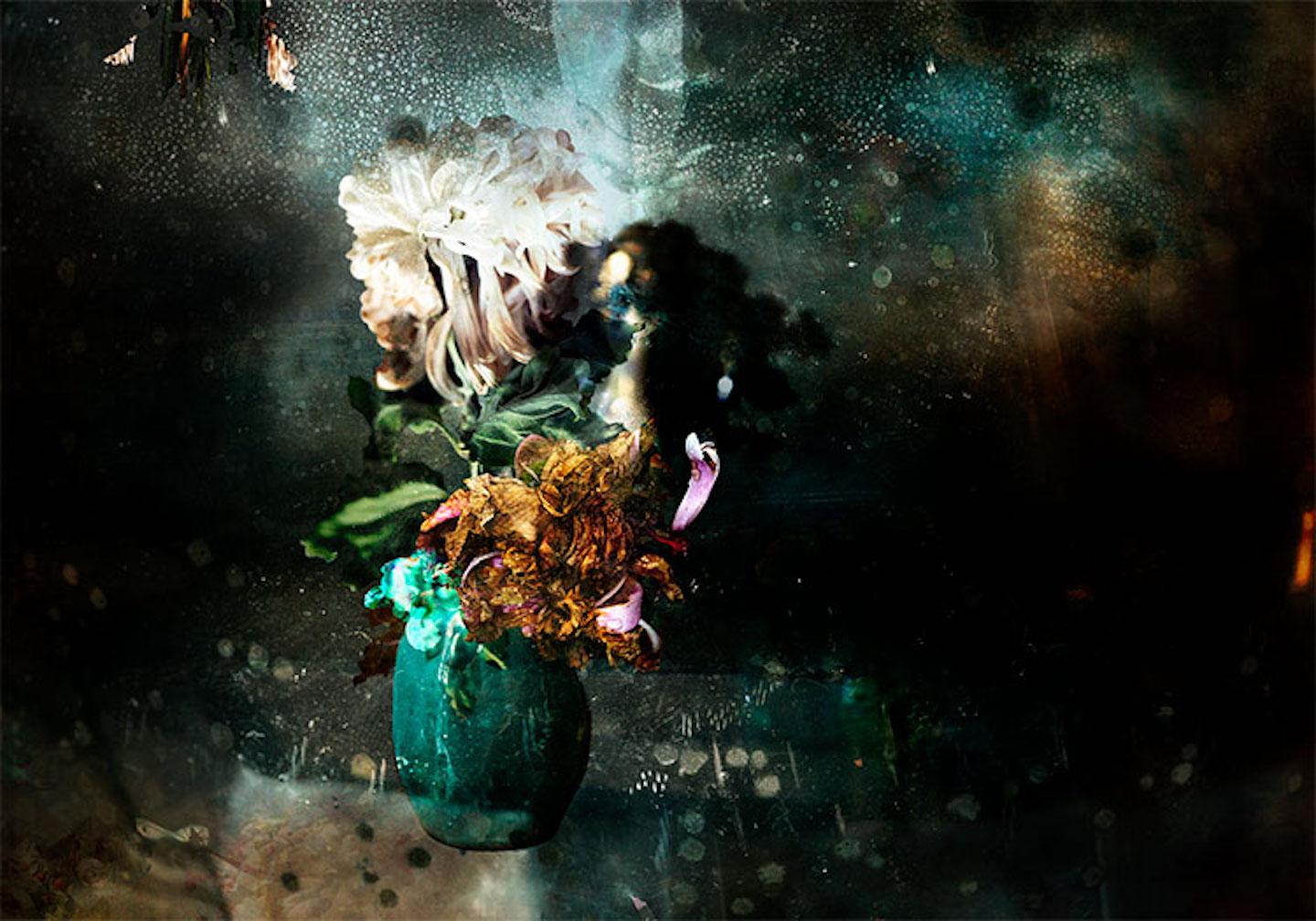Isabelle Menin Still-Life Photograph – Konversation # 1  Abstraktes Schwarz-grün-Weiß-Stillleben mit Blumenrahmen