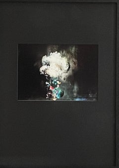 Conversation # 11  abstract black blue white still life floral photograph