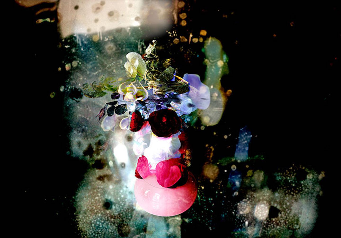 Isabelle Menin Still-Life Photograph – Conversation # 2 abstrakte rote, grüne, violette Stillleben-Fotografie mit Blumenrahmen