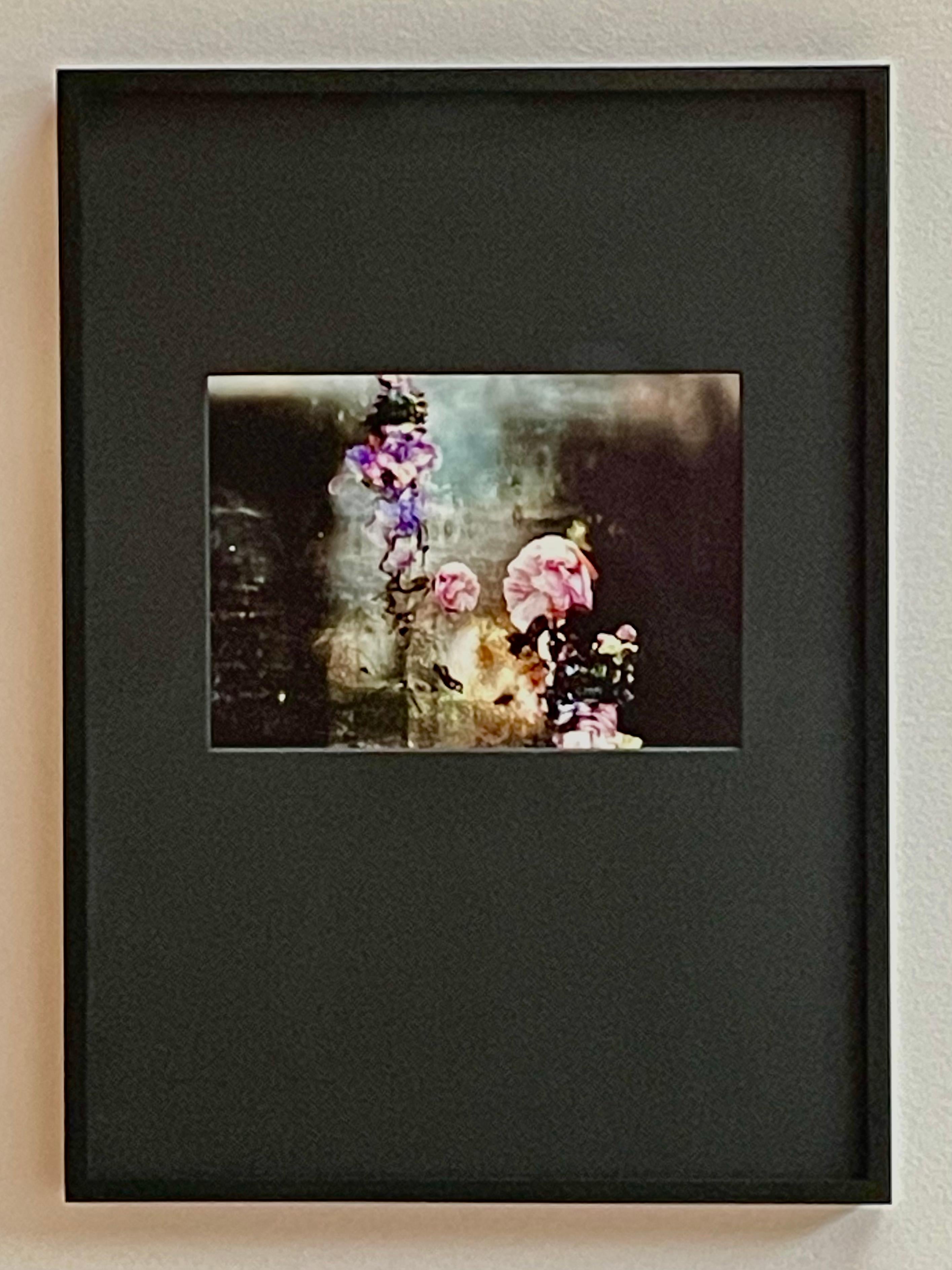 Konversation # 8  Abstrakte schwarz-rosa-blaue Stillleben-Fotografie mit Blumenrahmen – Photograph von Isabelle Menin