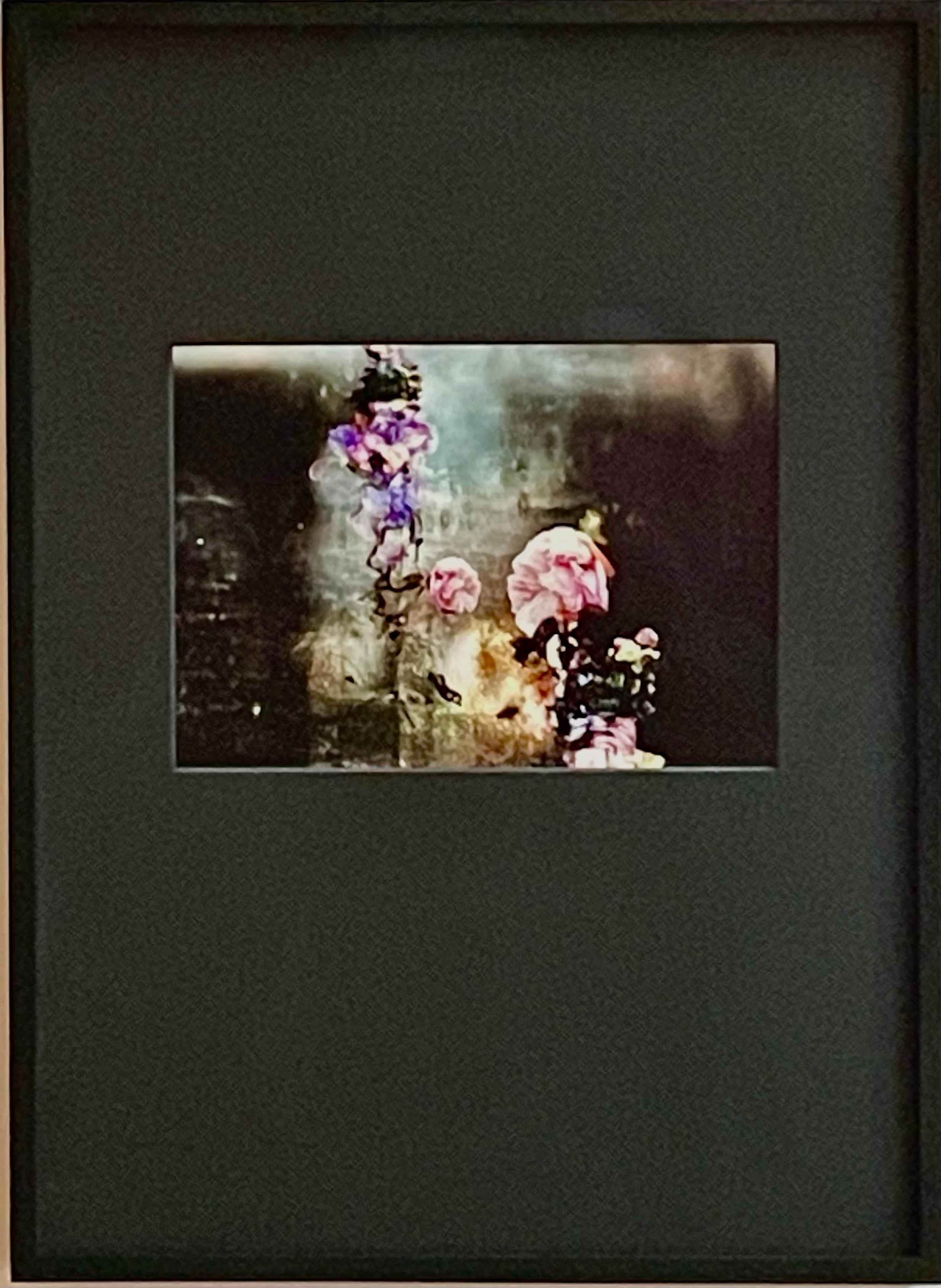 Konversation # 8  Abstrakte schwarz-rosa-blaue Stillleben-Fotografie mit Blumenrahmen (Zeitgenössisch), Photograph, von Isabelle Menin